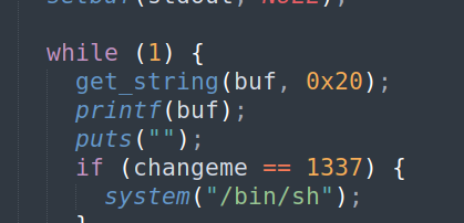 Format String Bug Example